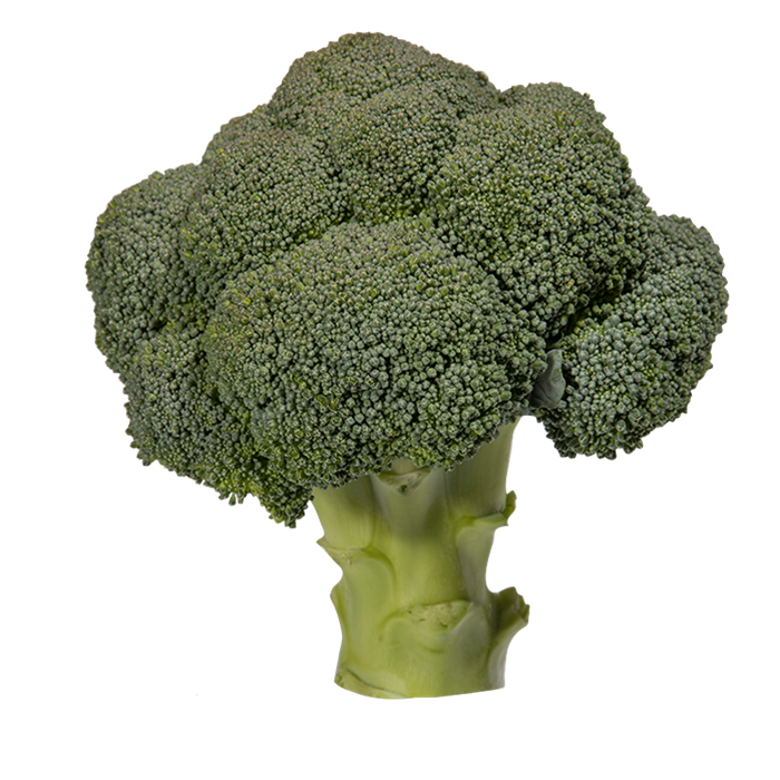 Broccoli Icepack 500g