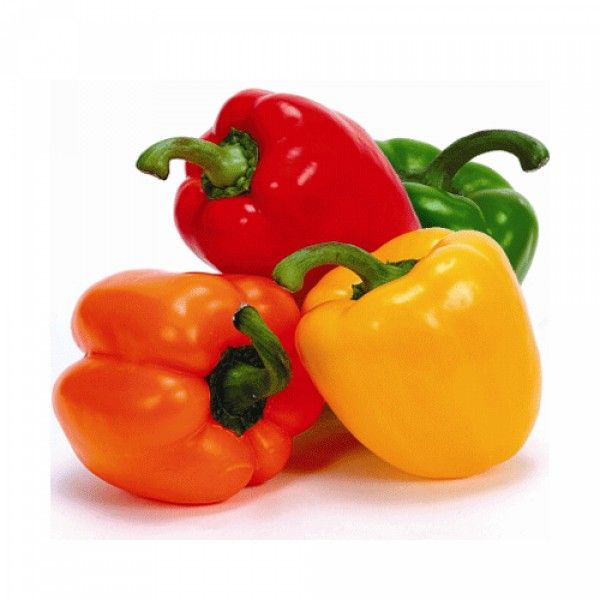 Mixed Capsicum - Holland, 1 Pack