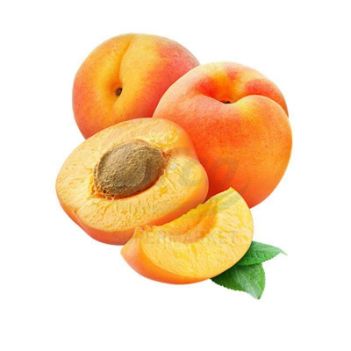 Apricot, 1 Pack
