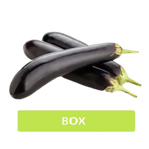 Eggplant Long 500g