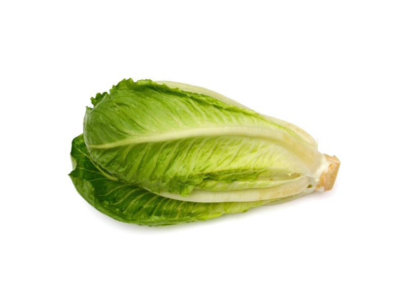Lettuce Long 500g