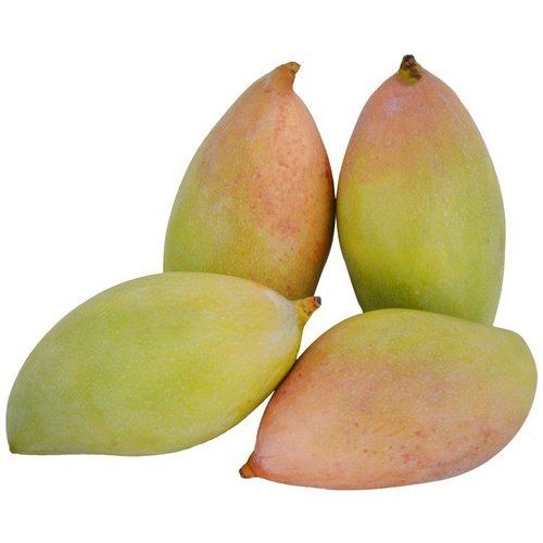 Mango Thottapuri 1kg