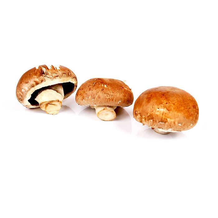 Brown Mushroom - Holland, 1 Pack