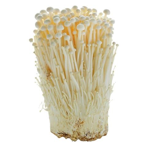 Mushroom Enoky, 1 Pack
