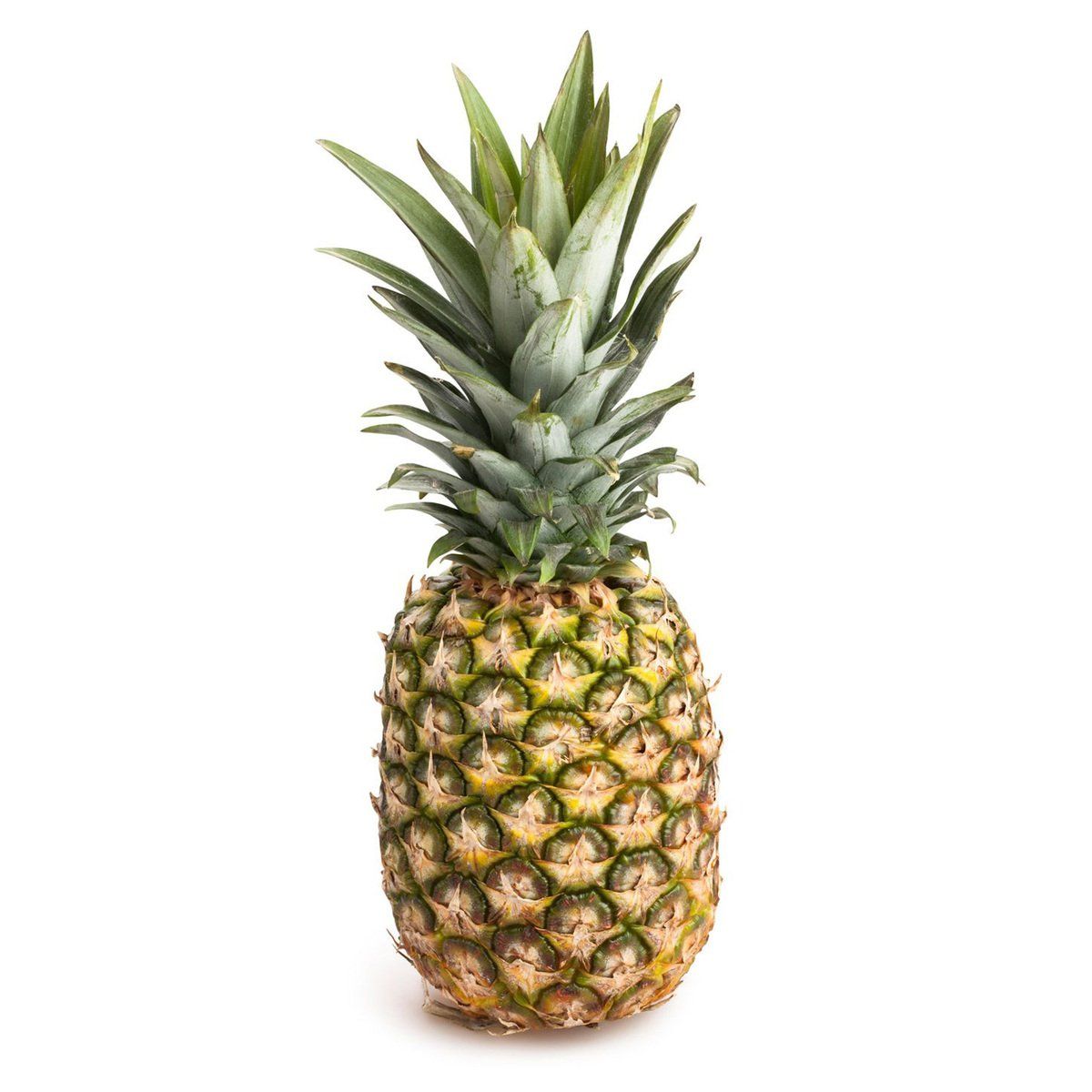 Pineapple, 1 Pack