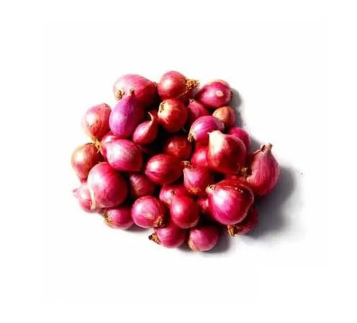 Onion Small 500g