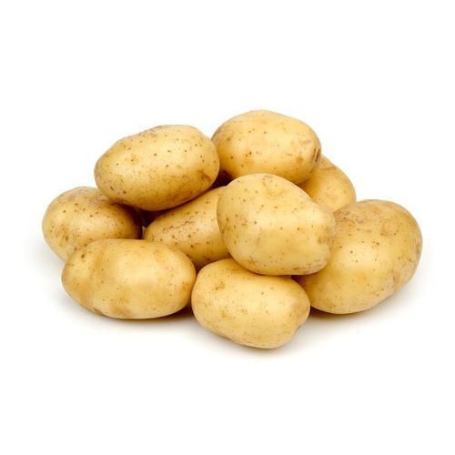 Potato - France 500g