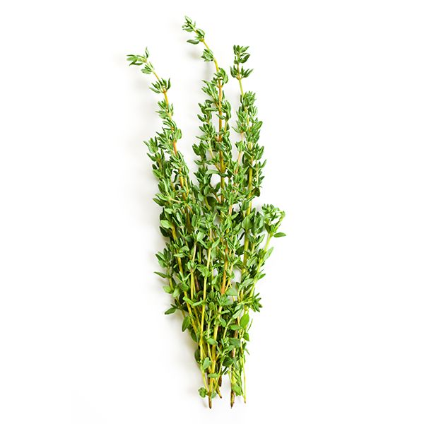 Thyme, 1 Pack