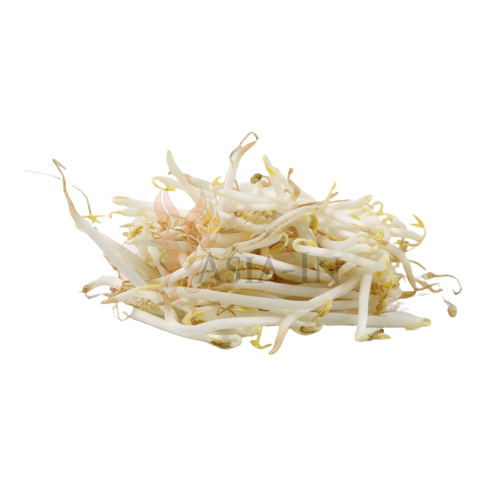 Chinese Beans Sprout, 1kg