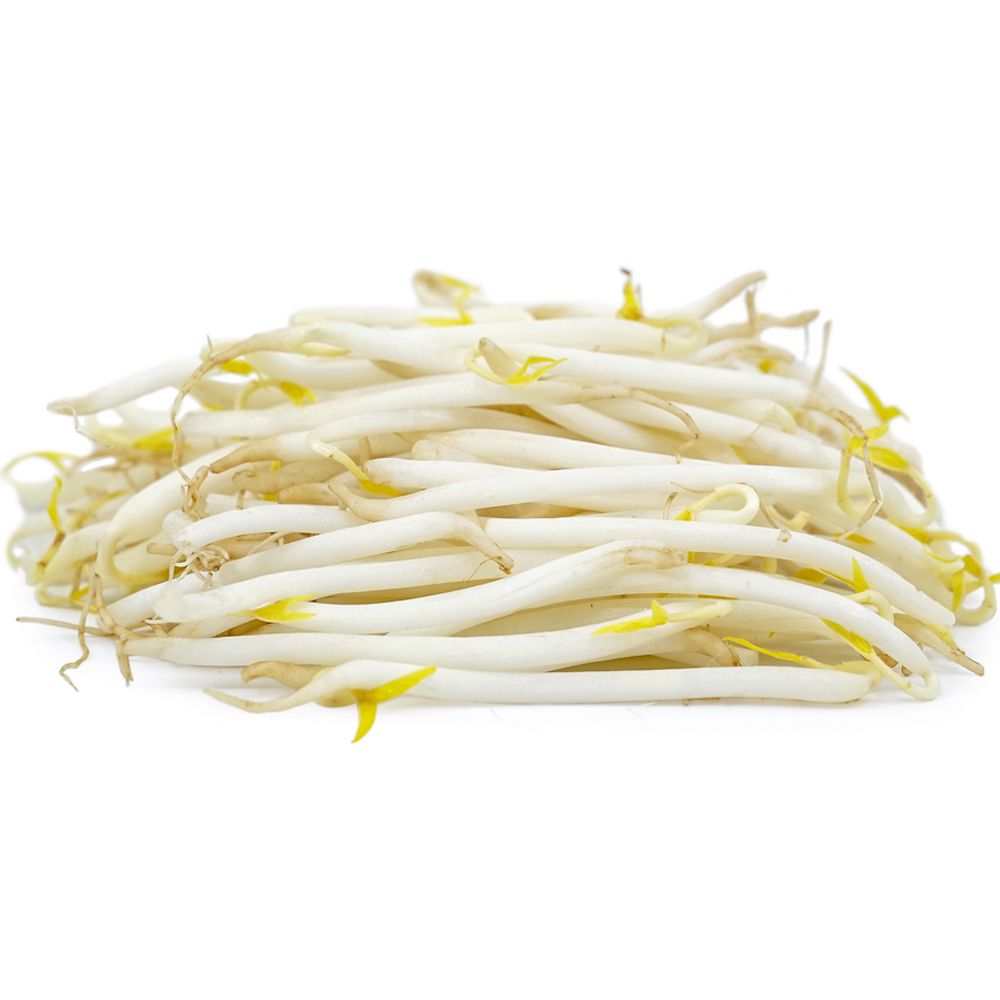 Beans Sprout, 1 Pack