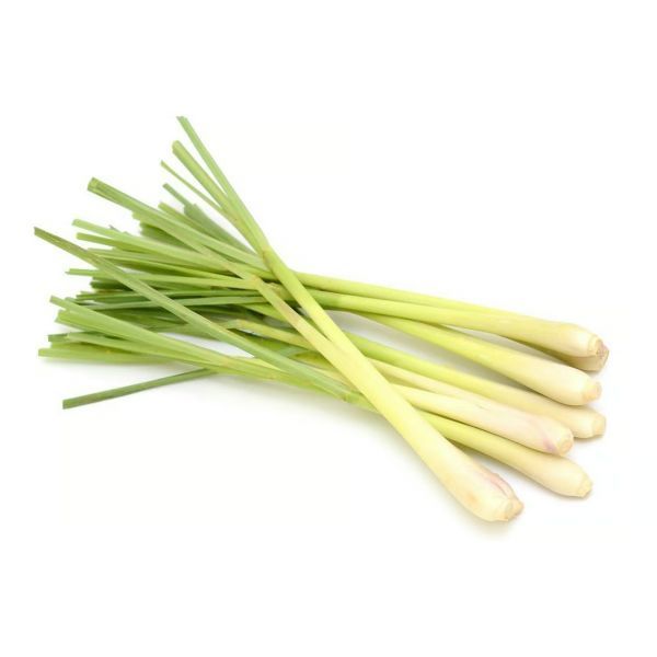 Lemon Grass, 1 Pack