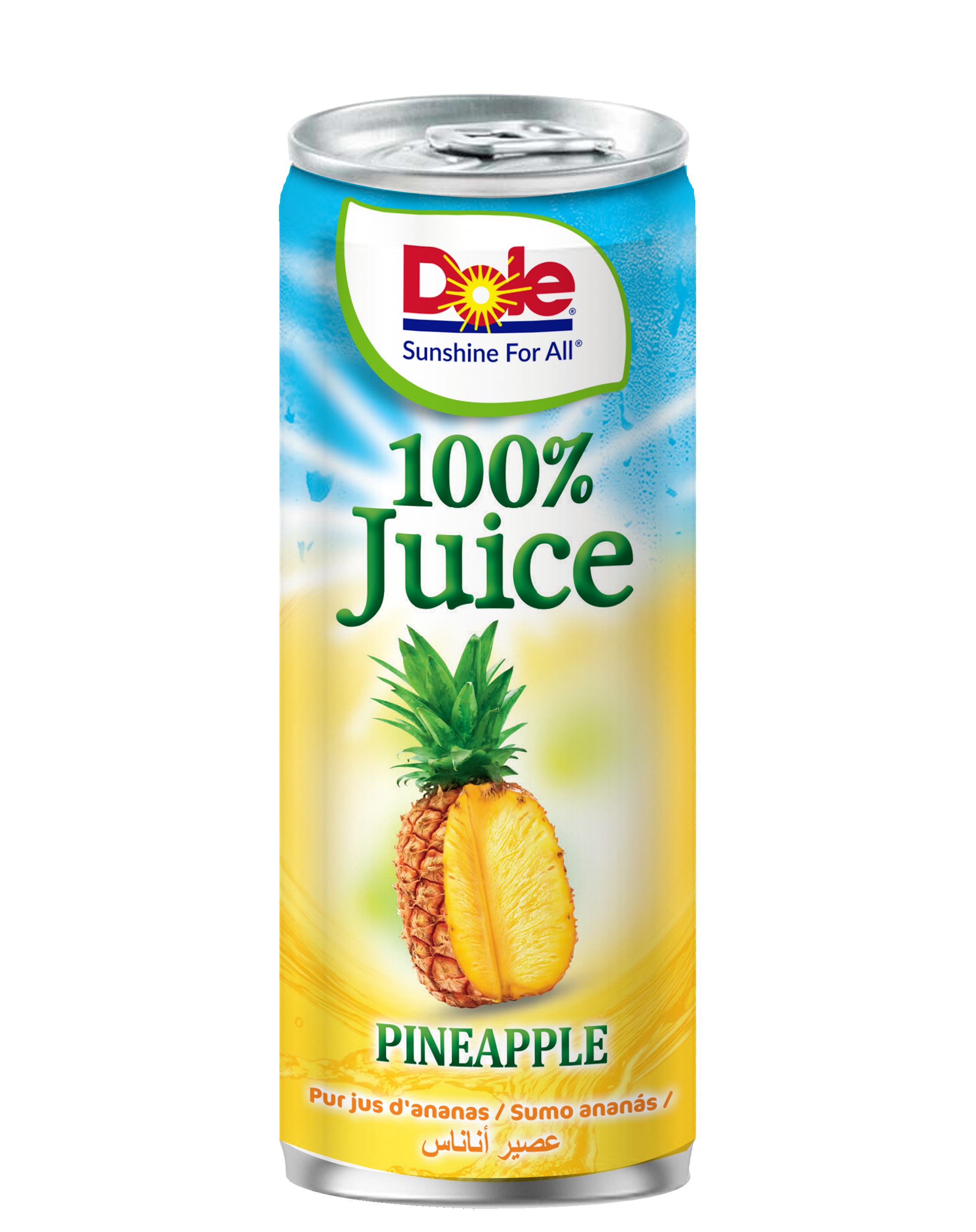 Dole 100% Pineapple Juice 240 ml