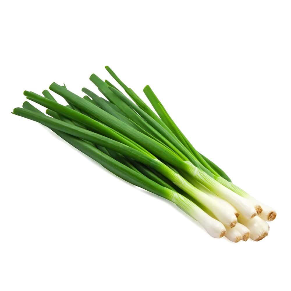 Spring Onion Leaves