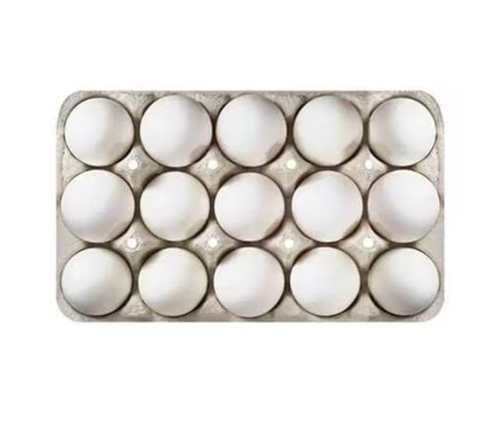 Farm Land White Eggs, 15 Pieces