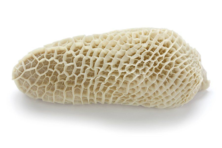 Beef Tripe (Thawed) Defrosted 500g
