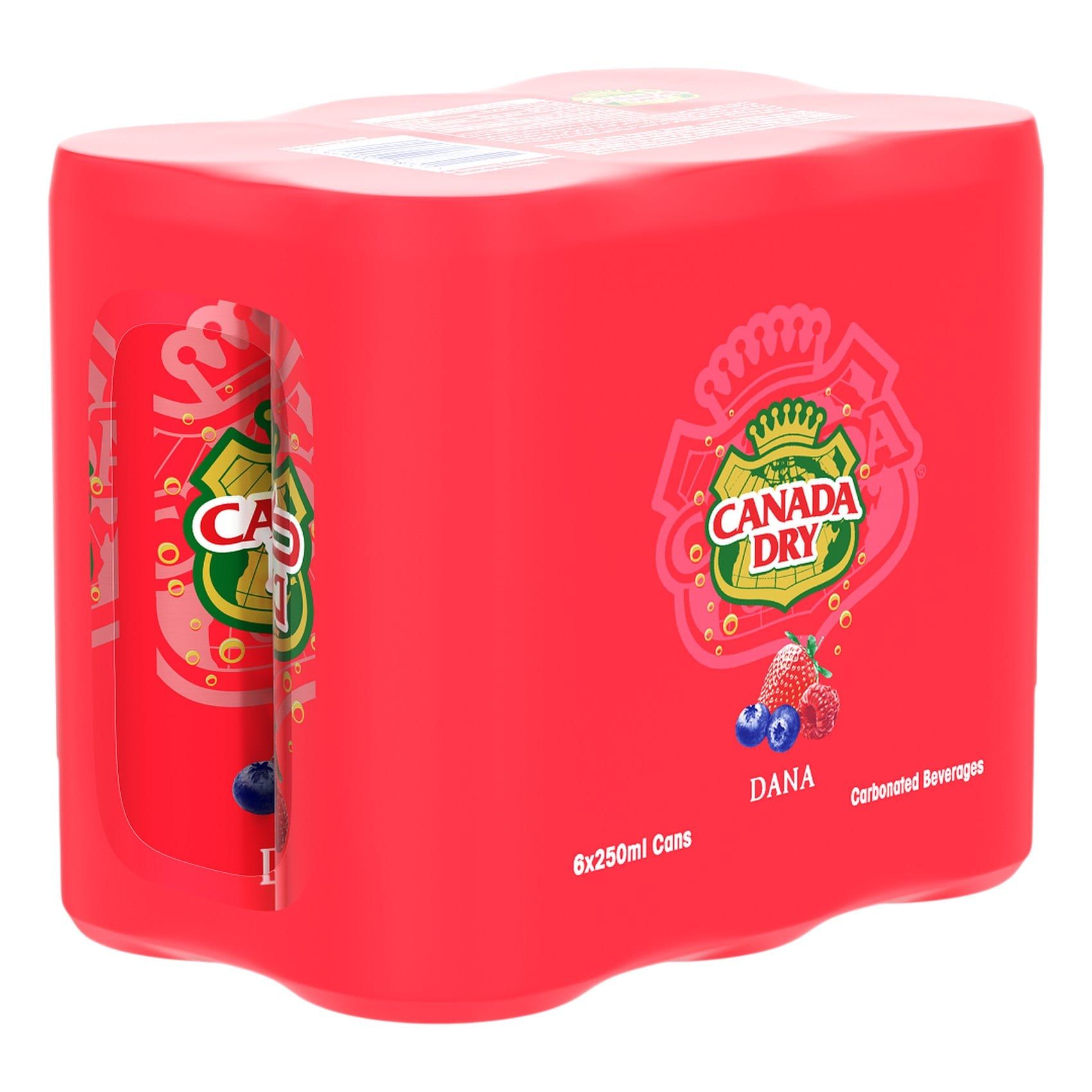 Canada Dry Dana Carbonated Beverage Cans, 6x250ml