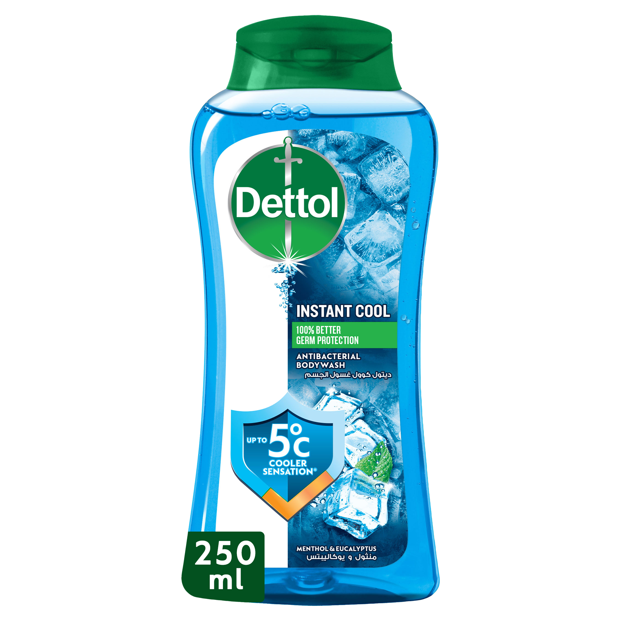 Dettol Cool Menthol & Eucalyptus Scent Shower Gel & Body Wash, 250ml