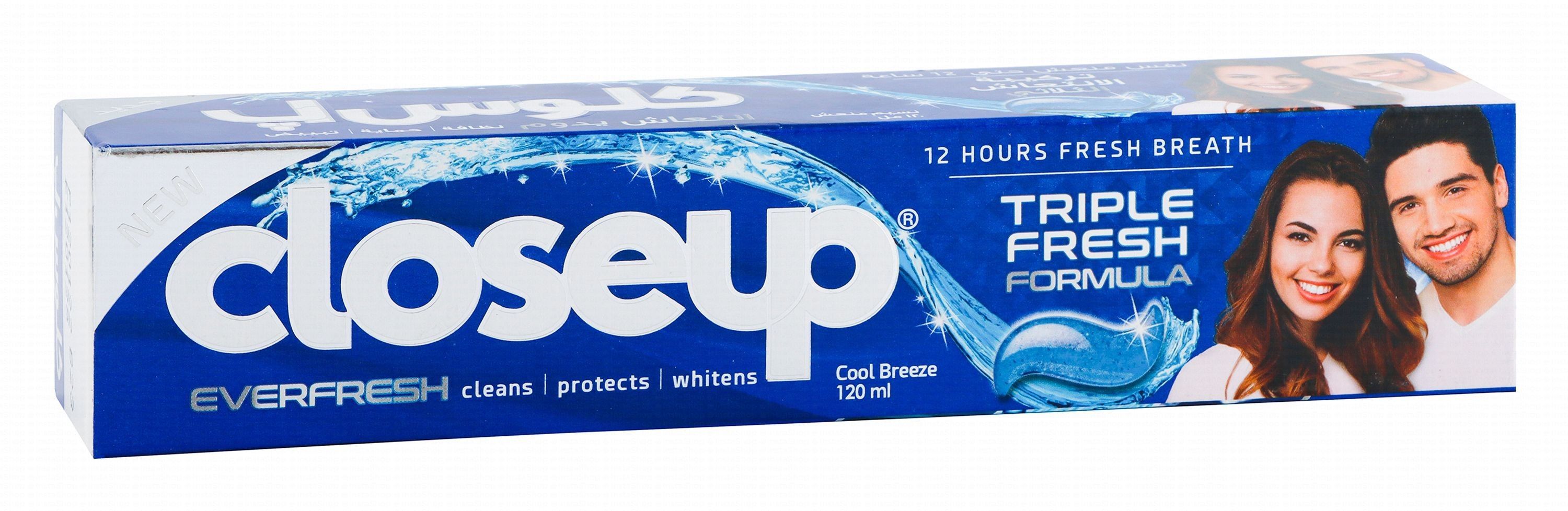 Closeup Cool Breeze Toothpaste with Antibacterial Mouthwash Formula, 120ml