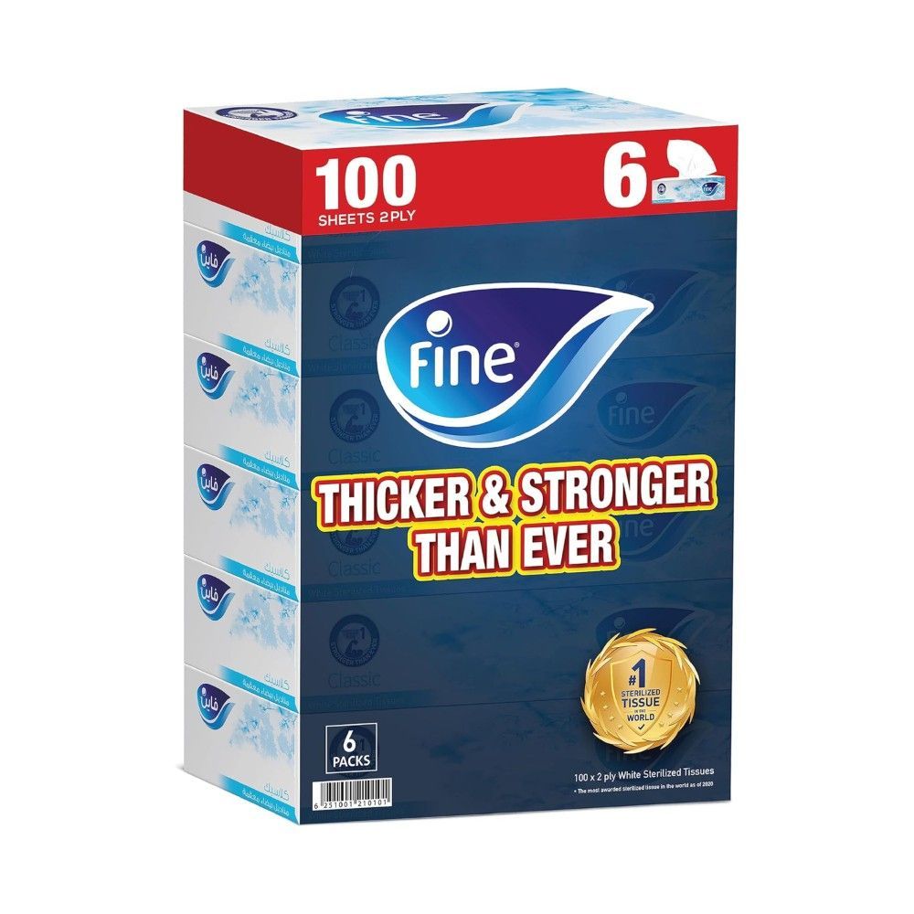 Fine Classic Facial Tissues 2 Ply 6 pcs x 100 Sheets