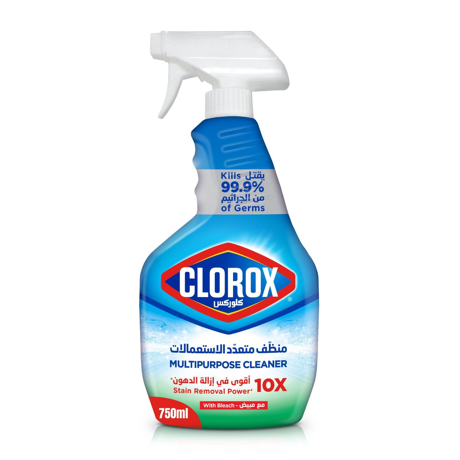 Clorox Stain Removal Power Multipurpose Cleaner with Bleach, 750ml