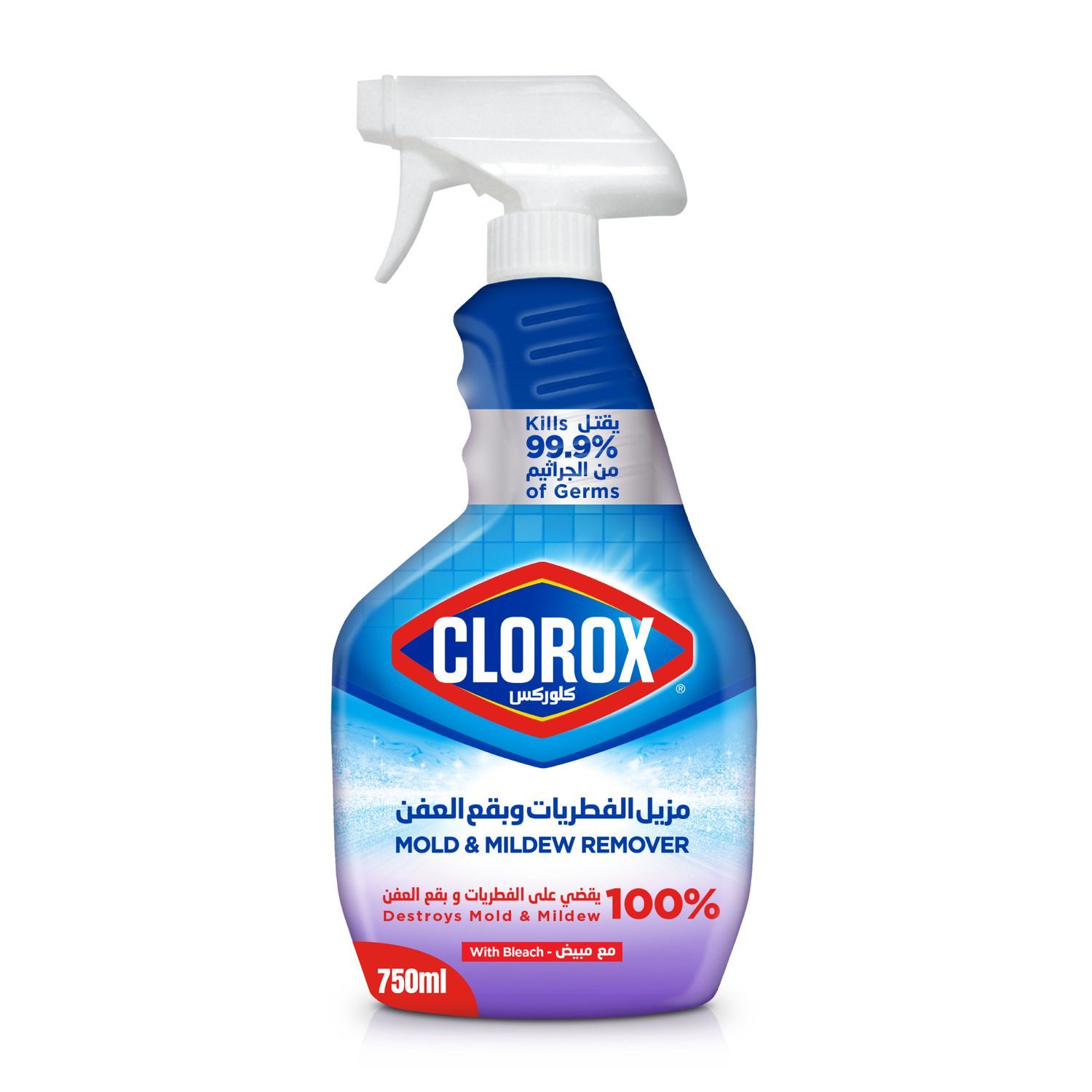 Clorox Mold & Mildew Remover with Bleach, 750ml