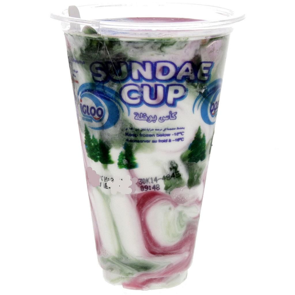 Igloo Sundae Cup Ice Cream 100 ml