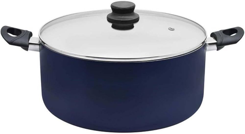 Raj Non Stick Cooking Pot, 22cm