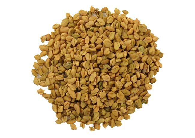 Fenugreek Seeds Methi