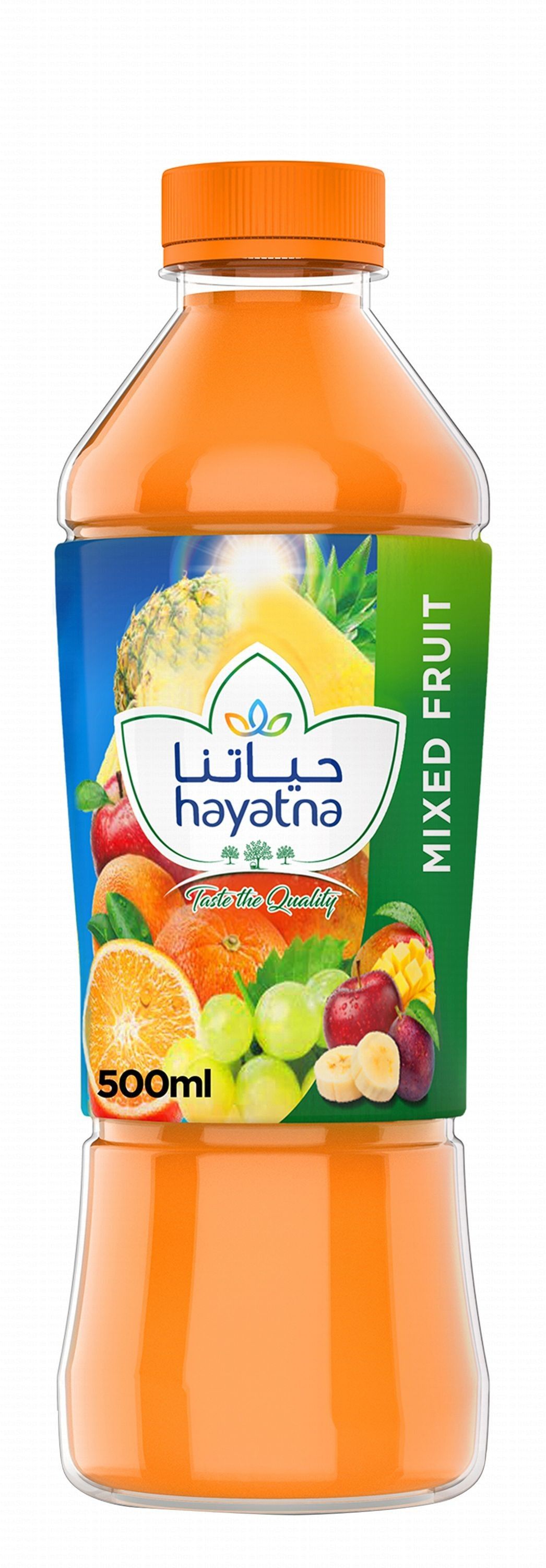 Hayatna Mix Fruit Juice, 500ml
