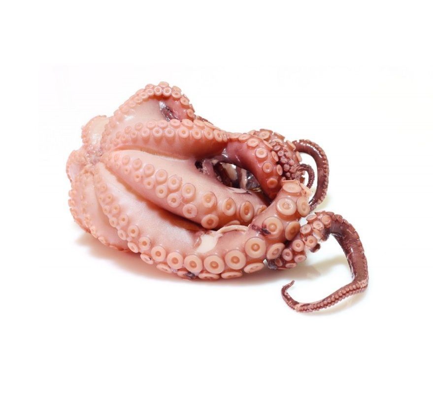 Octopus Defrosted 500g