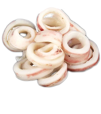 Squid Rings 1kg
