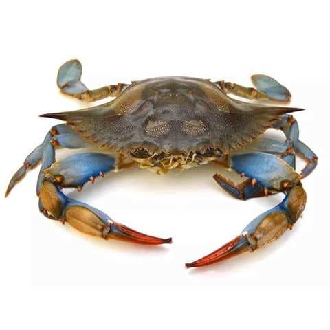 Crab 500g