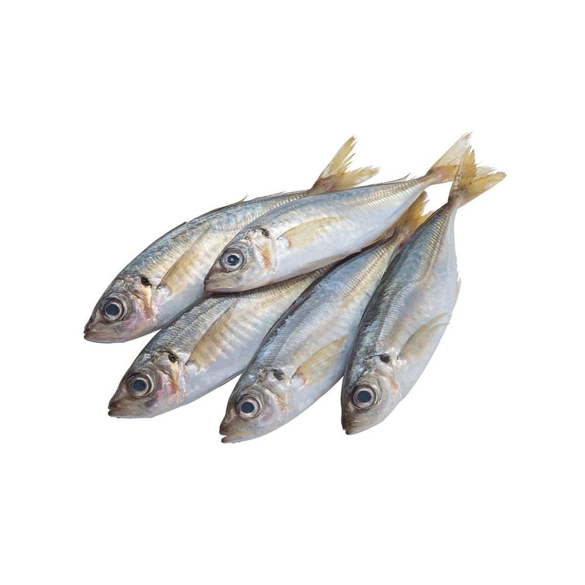 Galunggong Fish 500g