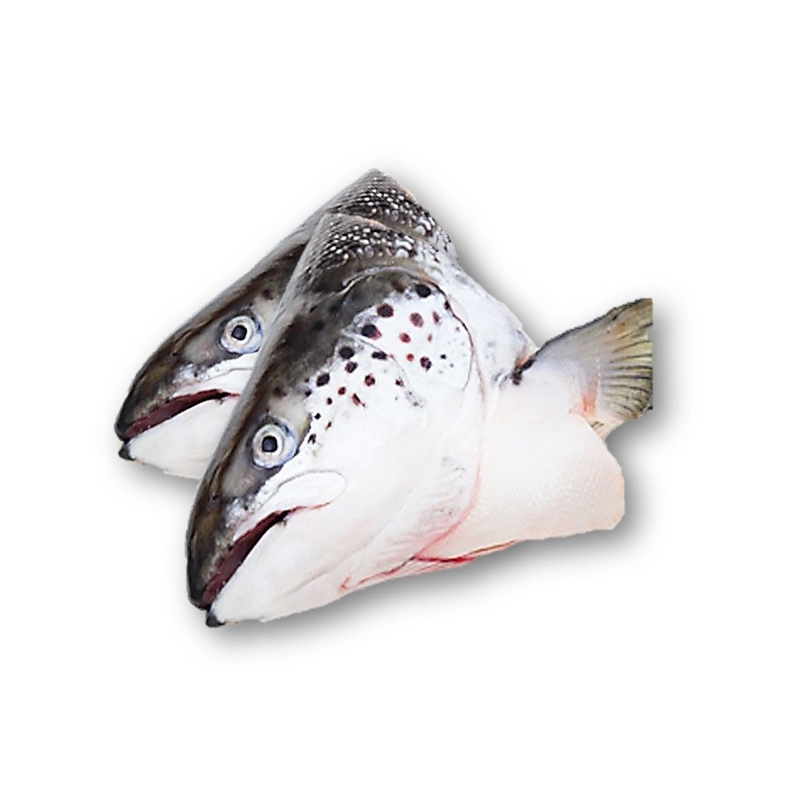 Salmon Head 1kg