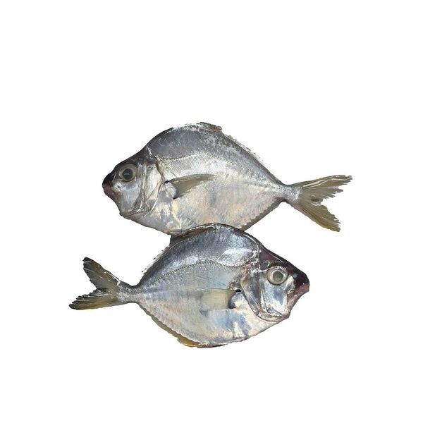 Mullen Fish 1kg