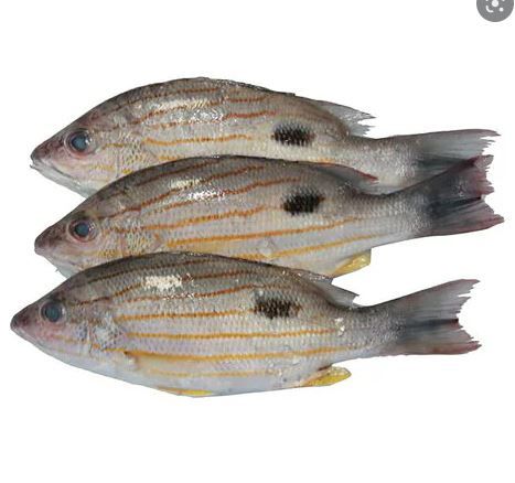 Fresh Naisar Fish 1kg