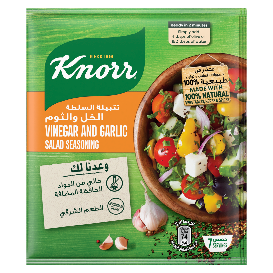 Knorr Vinegar & Garlic Salad Seasoning, 4x10g