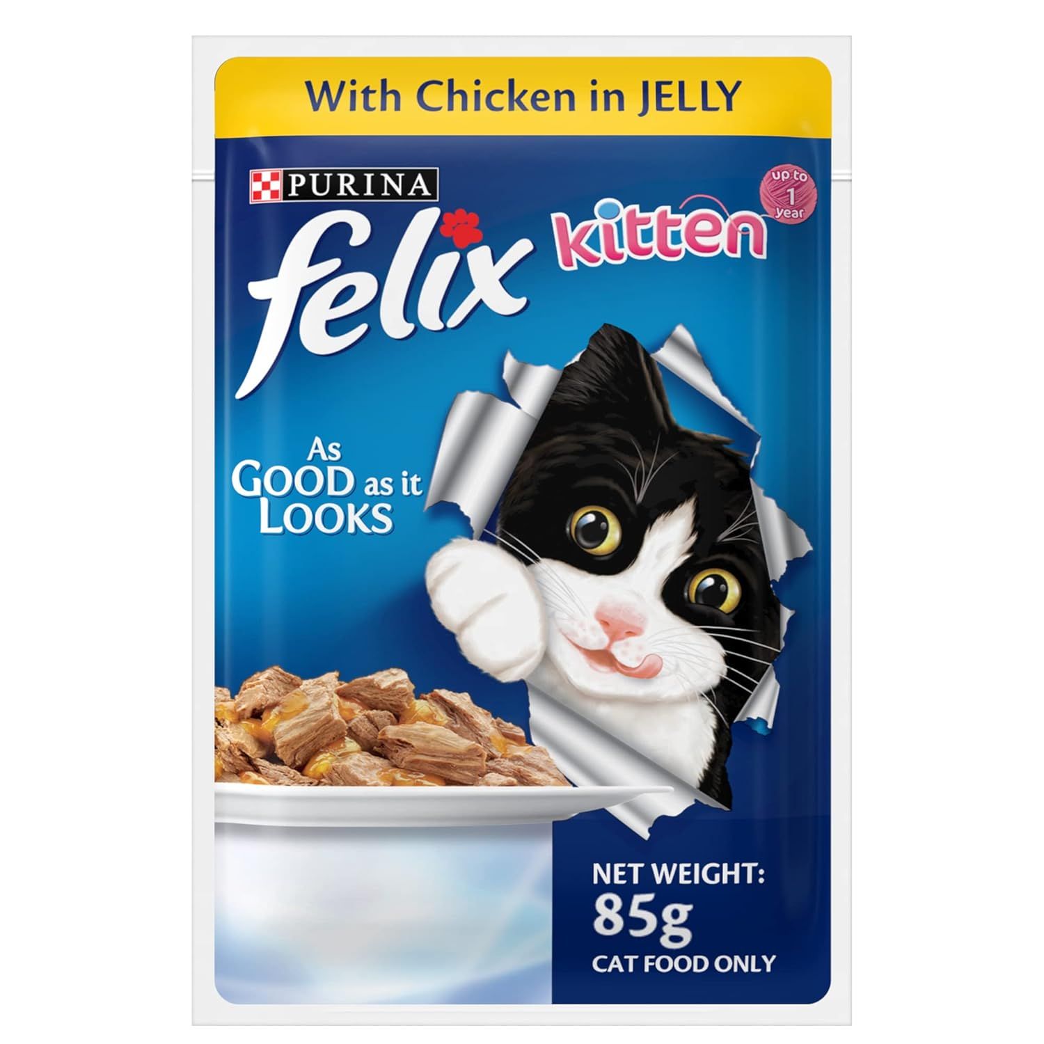 Pet Care
