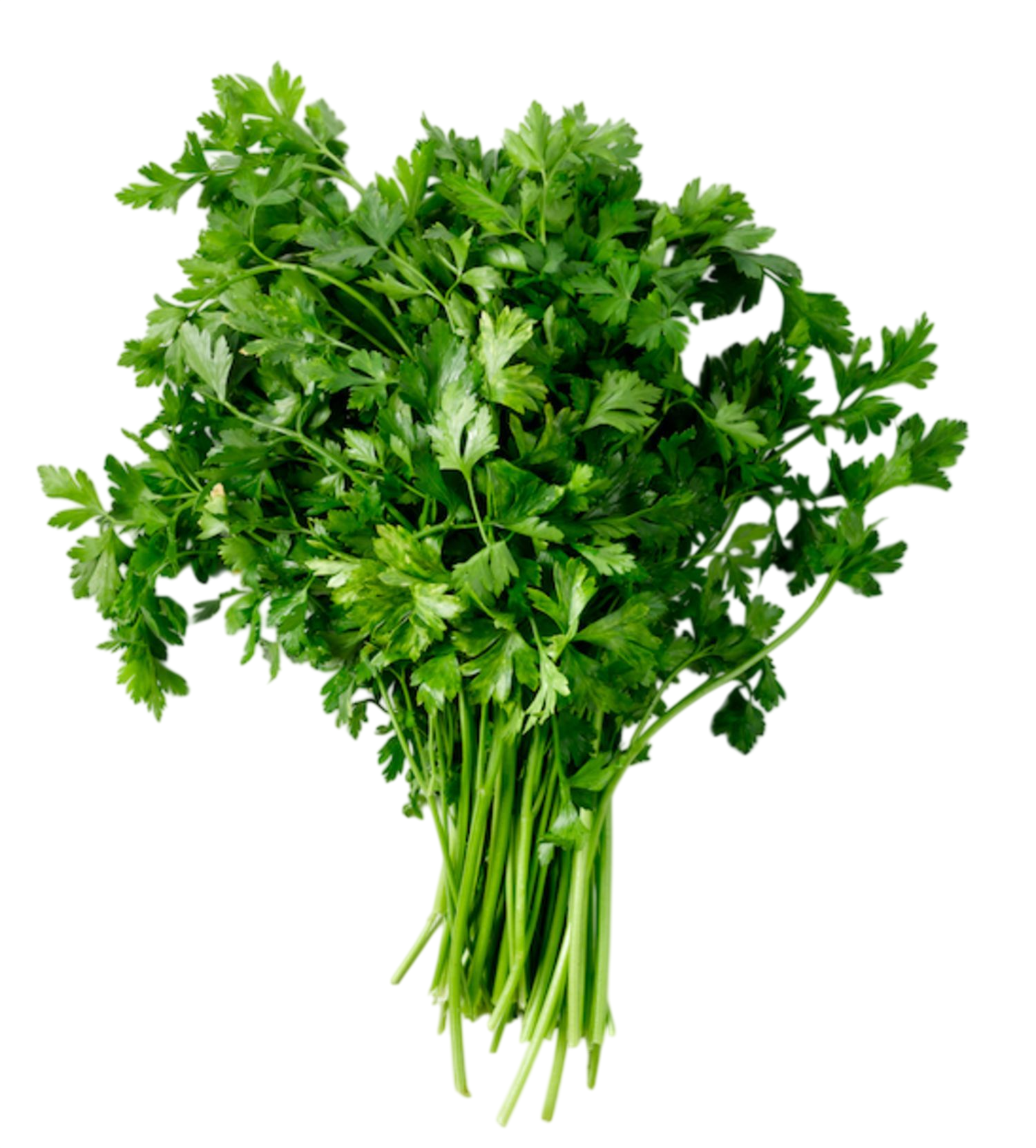 Parsley