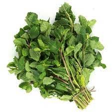 Fresh Mint Leaves