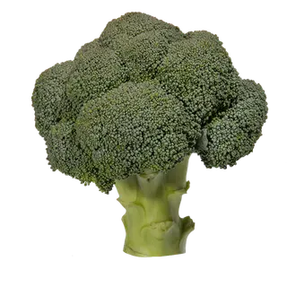 Broccoli Icepack 500g