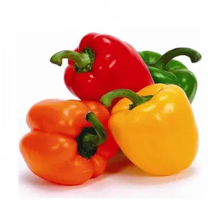 Mixed Capsicum - Holland, 1 Pack