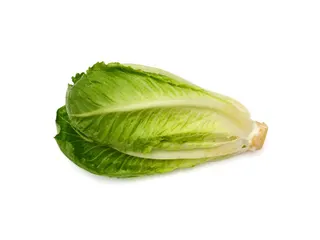 Lettuce Long 500g