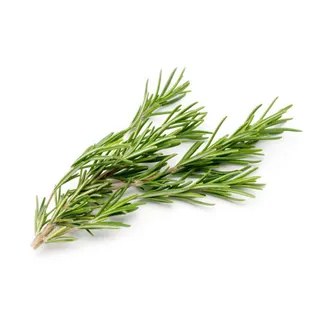 Rosemary, 1 Pack