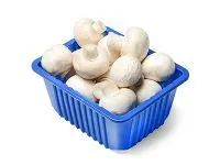 Mushroom White