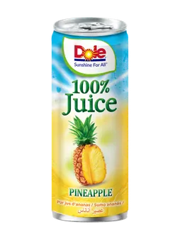 Dole 100% Pineapple Juice 240 ml