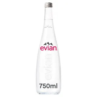 Evian Natural Mineral Water, 750ml