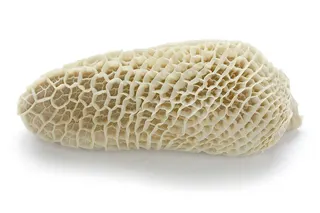 Beef Tripe (Thawed) Defrosted 500g
