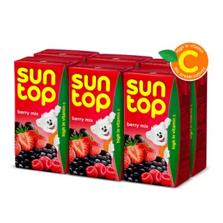 Suntop Berry Mix Fruit Drink, 6x125ml