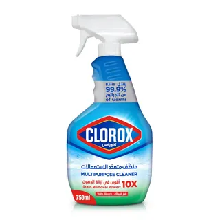 Clorox Stain Removal Power Multipurpose Cleaner with Bleach, 750ml